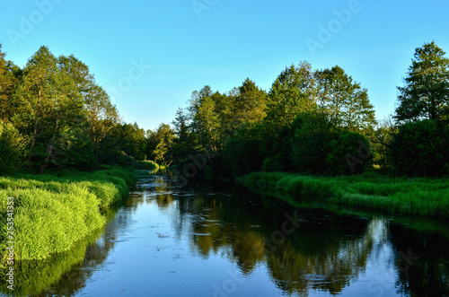 View of the river in the forest area on a summer day. Travel to Belarus  the river Bobr