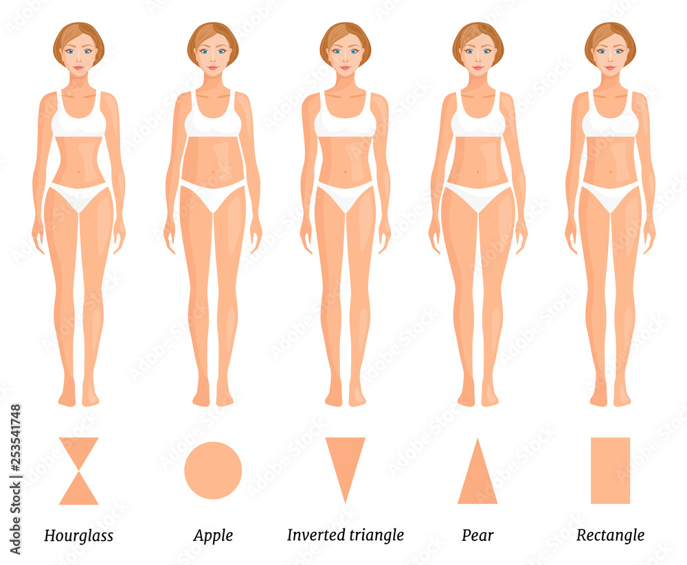 Vetor de Forms of female body type. Various figures of women. Vector. do  Stock