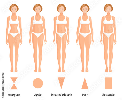 Forms of female body type. Various figures of women. Vector.