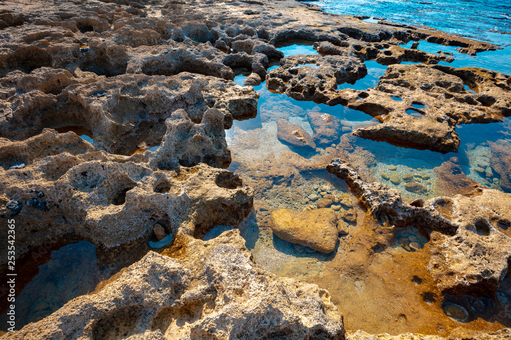 The texture of the stony sea shore The texture of the stony sea shore