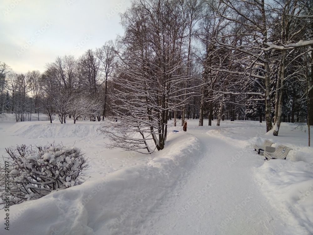 Winter park Winter park