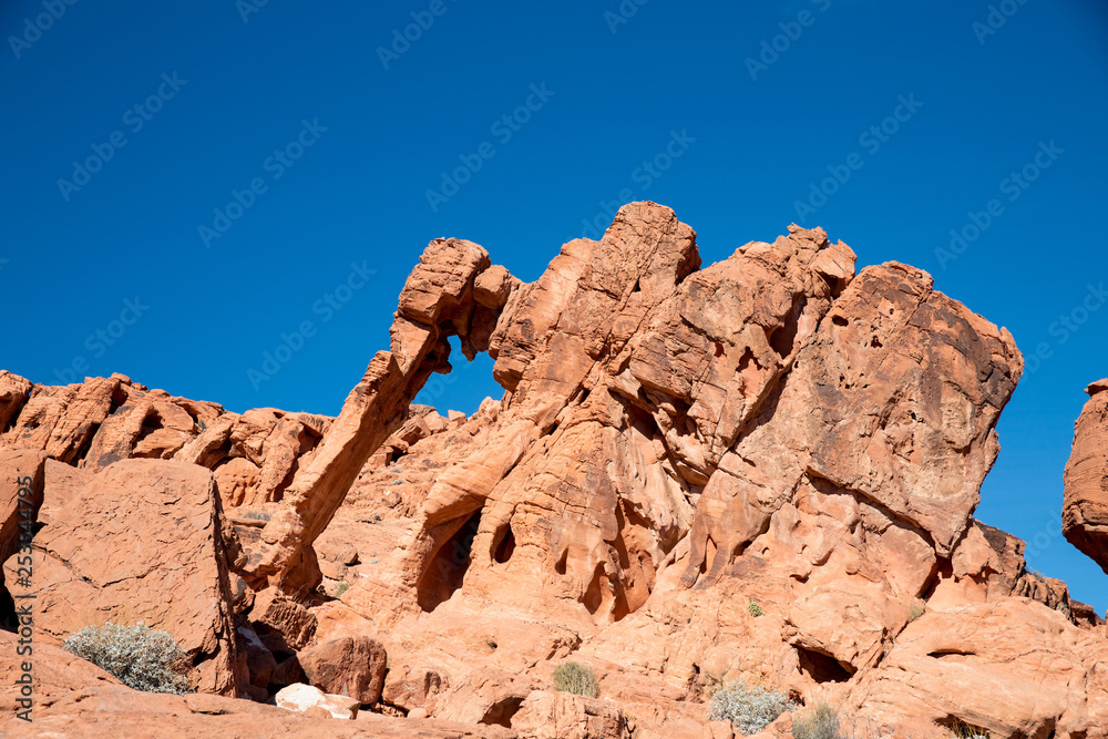 Elephant Rock im Valley of Fire State Park in Nevada, USA
