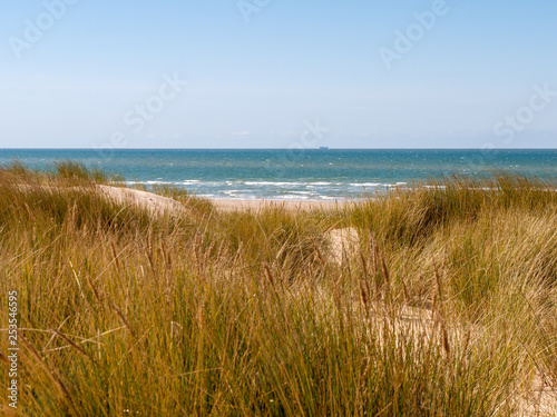 View over dune with grass and the beach on the North Sea near Domburg on the island Walcheren  Zeeland  Netherlands