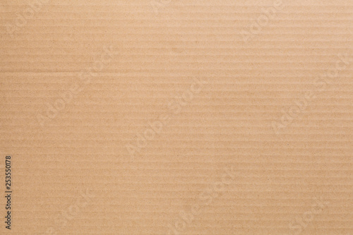 cardboard sheet of paper