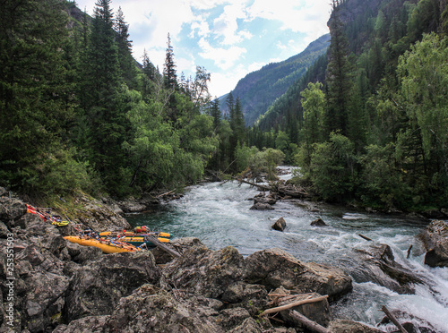 Journey through the wild nature of the Altai. Coniferous forests and the valley of the  mountain river Bashkaus. Summer landscape - Clean air of Altai and the beauty of Siberia photo