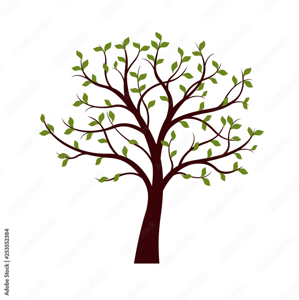 Green Tree with leaves on white background. Vector Illustration. Green Tree with leaves on white background. Vector Illustration.