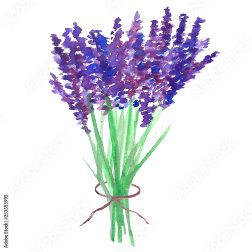 Fototapeta Naklejka Na Ścianę i Meble -  watercolor lavender bouquet, tied with a ribbon on a white background, a good illustration for the design of cards, invitations and decoration.