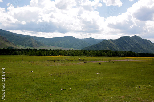 The views of the Karakol valley in Altay