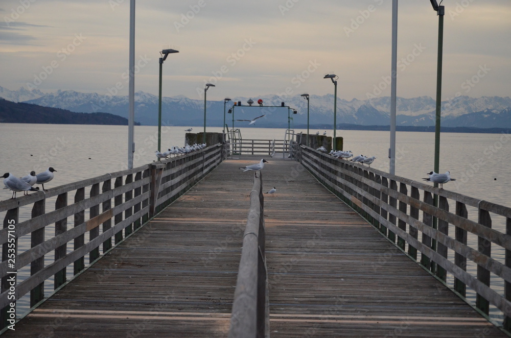 a bridge full of birds