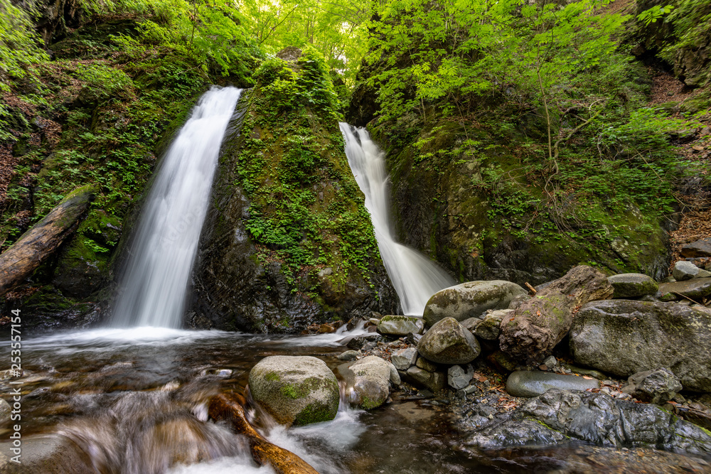 Fototapeta premium 奥多摩 山梨 雄滝