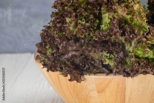 close up of red oak lettuce on wooden bowl