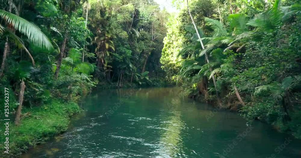 Moving across a river flowing calmly through the lush rainforest from right to left