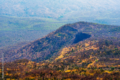 Abstract of colorful mountain  forest and cliff