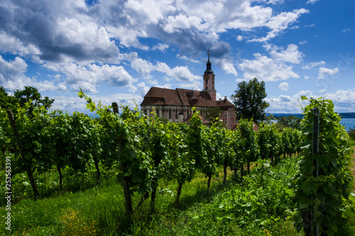 Vineyard with Birnau Abbey as a backdrop © Gerhard