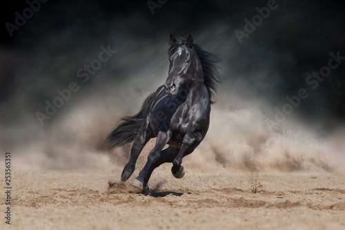 Black stallion run on desert dust against dramatic background photo