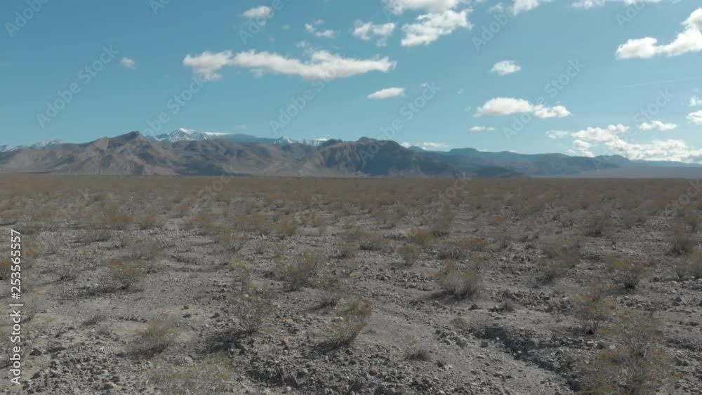 -Flying low over Nevada desert vegetation in Nye County near Pahrump to dark Spring Mountains in the background-Aerial -Flying low over Nevada desert vegetation in Nye County near Pahrump to dark Spring Mountains in the background-Aerial