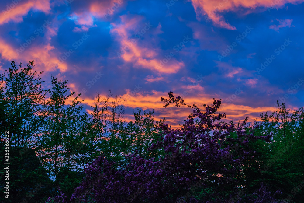 Fototapeta premium Sonnenuntergang zur blauen Stunde mit Silhouette im Vordergrund
