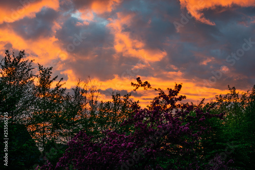 Sonnenuntergang zur blauen Stunde mit Silhouette im Vordergrund