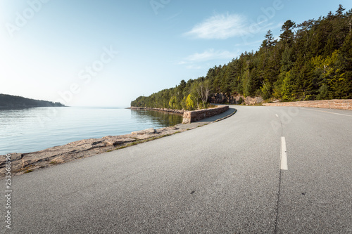 Acadia Park Loop Road. Acadia National Park  Maine  USA