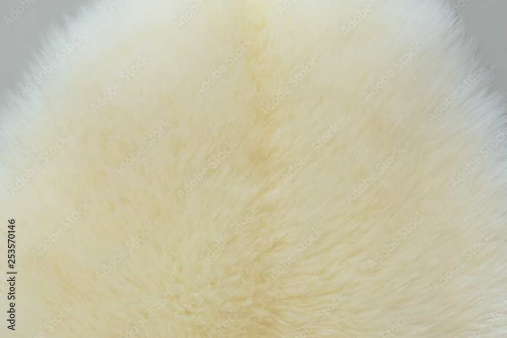 background and textured of real white cream wool sheep background and textured of real white cream wool sheep