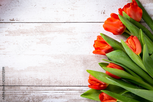 Kolorowe tulipany  na drewnianym tle