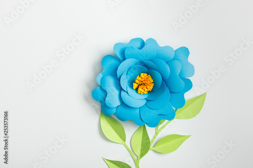 Fototapeta Naklejka Na Ścianę i Meble -  top view of blue paper flower and green plants with leaves on grey background