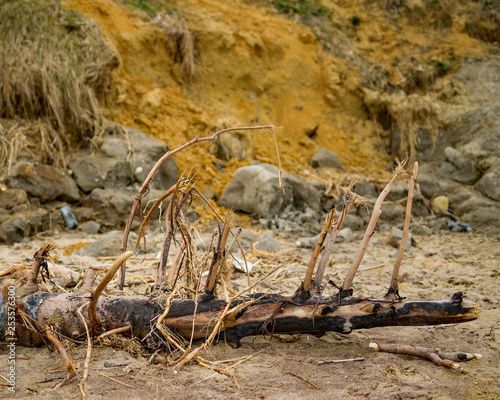 Cliff erosion on the Norfolk beach of Trimingham photo