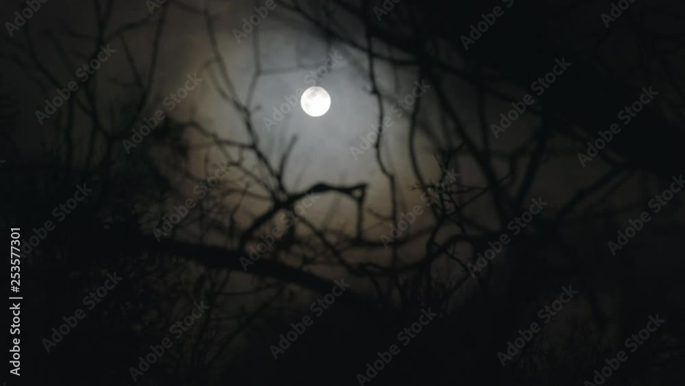 Rack focus to a spooky full moon on a foggy night