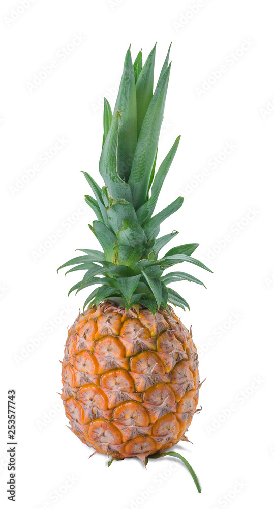 pineapple on white background pineapple on white background