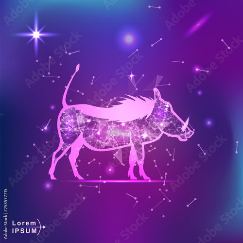 pig. Polygonal wireframe pig silhouette on gradient background. Space, futuristic, zodiac concept. Shine neon style vector illustration