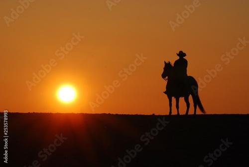 Cowboy riding horse in the sunset