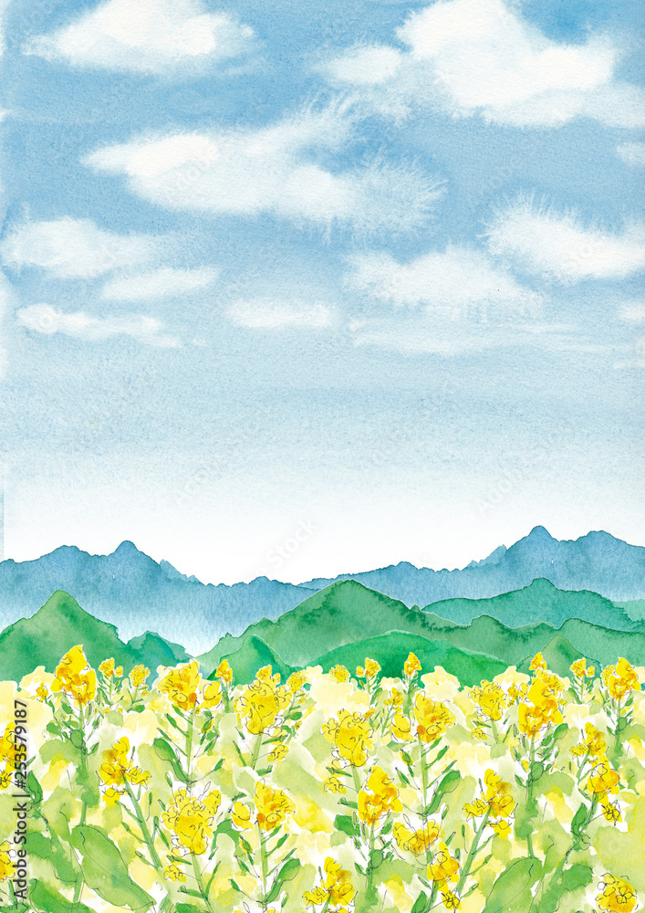 青空と山と菜の花畑 Stock イラスト Adobe Stock