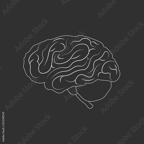 Brain or mind side outline vector icon. medical illustration