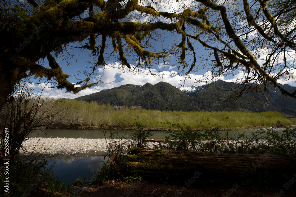 Olympic National Park, WA, USA. 