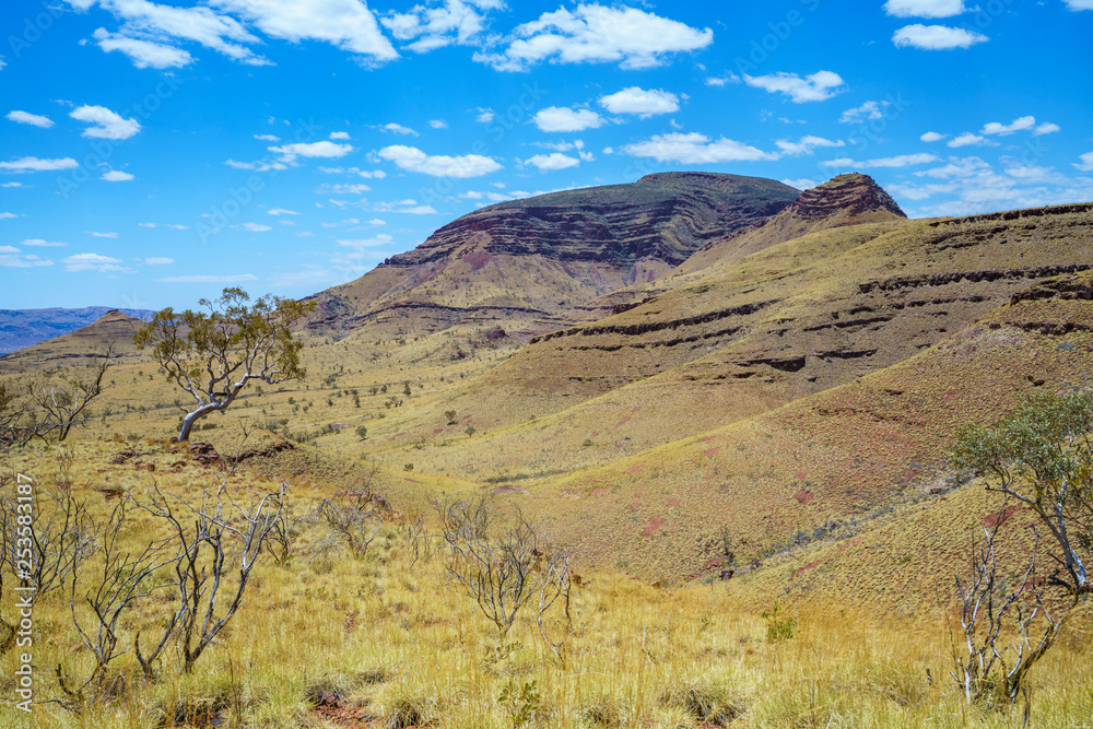 hiking on mount bruce in karijini national park, western australia 71