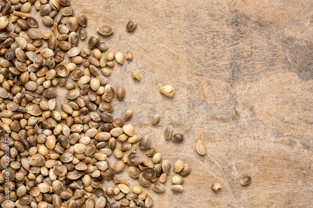 dried hemp seeds on grunge background dried hemp seeds on grunge background