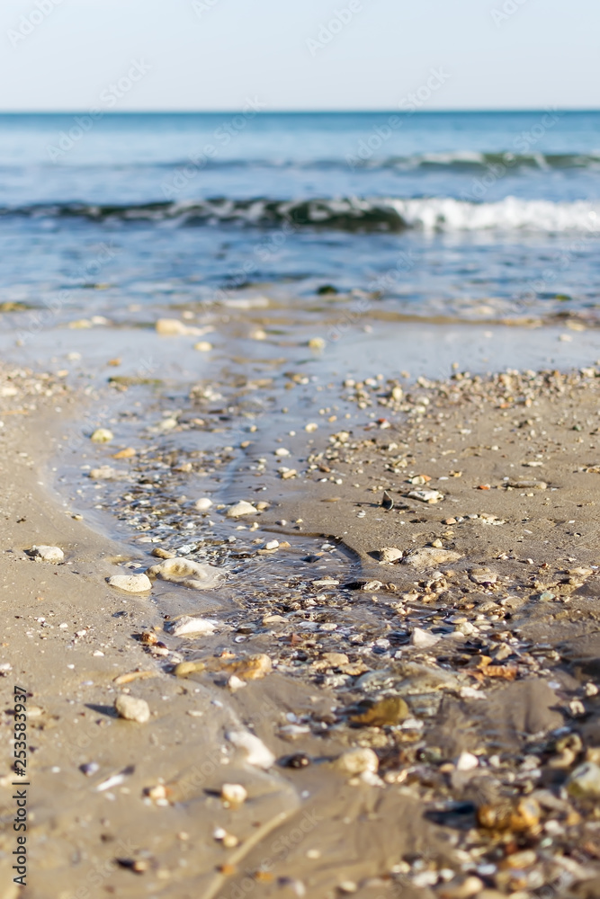 Small spring creek with cold water flows into the sea.