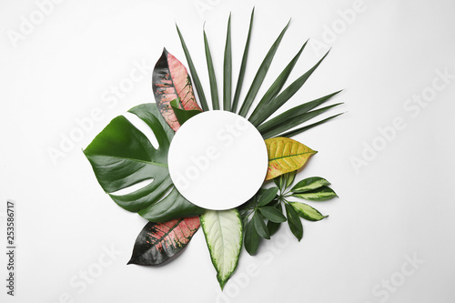 Obraz piękna kompozycja z tropikalnymi liśćmi i pustym środkiem na białym tle, odgórny widok