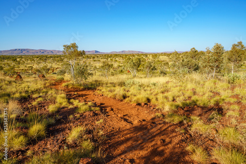 in the morning at joffre gorge in karijini national park, western australia 2