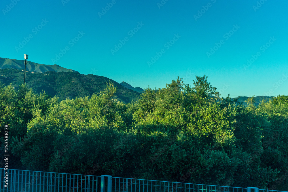 Italian outskirts train Pisa Riomaggiore, SCENIC VIEW OF FOREST AGAINST CLEAR BLUE SKY