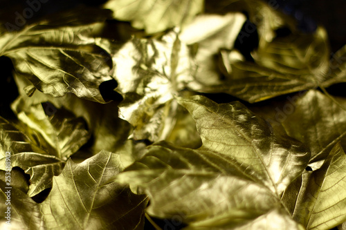 Leaves. Golden leaves close up background texture. Golden background.