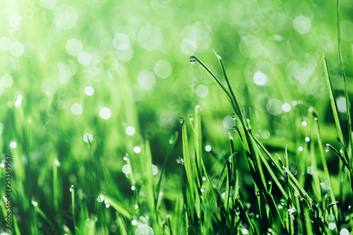 a backgrounds green grass and water