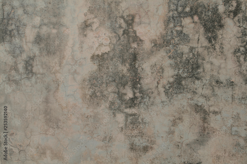 Close up of a concrete wall with moisture and breaks Close up of a concrete wall with moisture and breaks