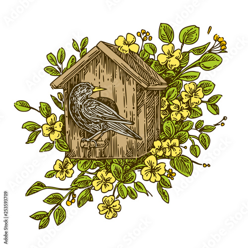The birdhouse with starlingw in the flowering branches. Color. Engraving style. Vector illustration.