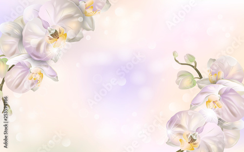 Vector banner with Luxurious orchid flowers for invitation, sales, packaging, natural cosmetics, perfume. Space for text.
