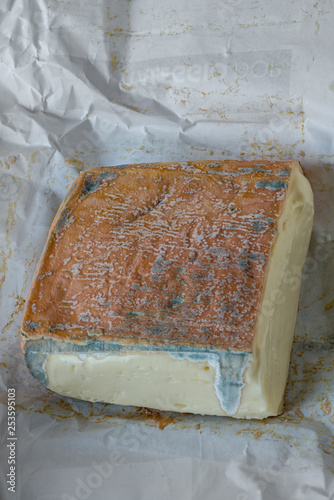 Bilde på lerret Lombardischer Weichkäse Taleggio
