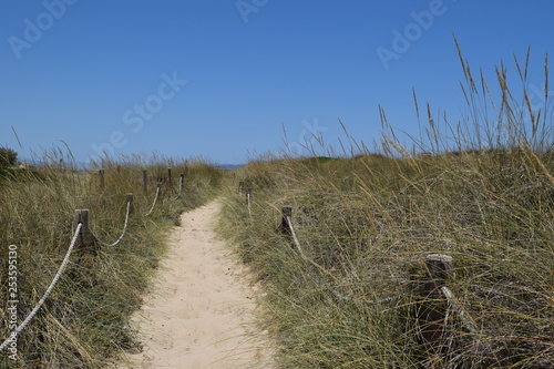 way path beach natrue gras