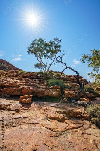 hiking in kings canyon in the sun, watarrka national park, northern territory, australia 16