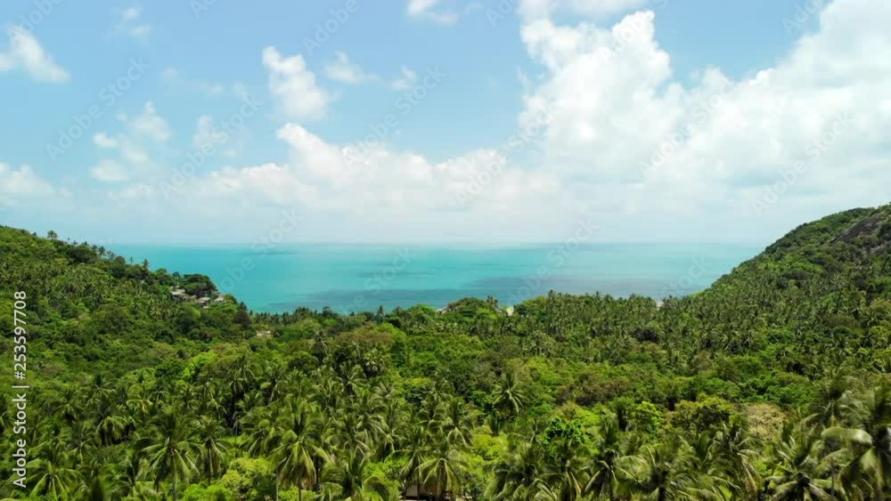 Drone flight over a jungle with turquoise ocean on the background Drone flight over a jungle with turquoise ocean on the background