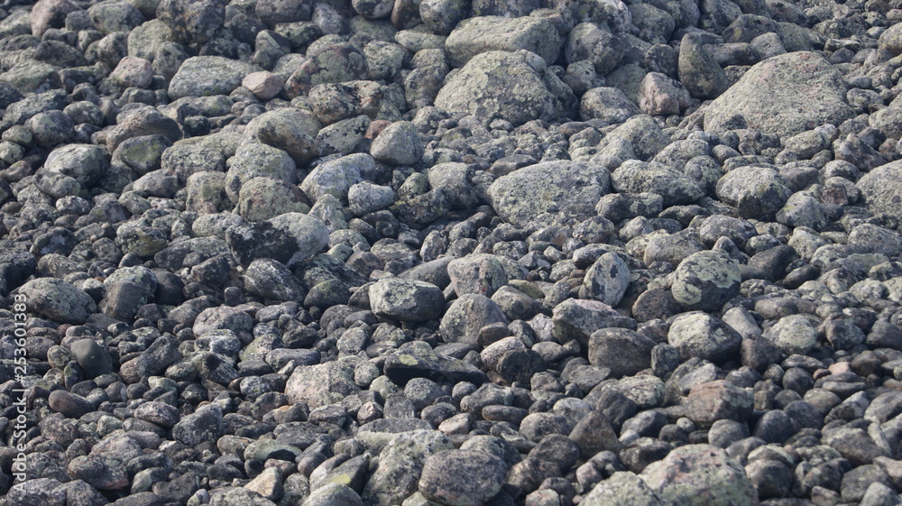 Stones Stones